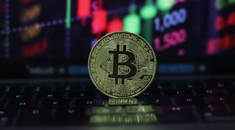Altcoin ‘gần như đã chết’, Bitcoin sắp chạm đáy