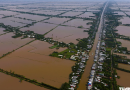 Nhiều cánh đồng miền Tây đang ngập nước dù lũ thấp, vì sao?