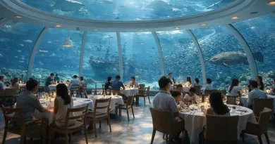 Tỷ phú Phạm Nhật Vượng đang cho xây dựng nhà hàng dưới nước lớn nhất thế giới với 1.000 chỗ ngồi tại siêu dự án 6.200ha vốn đầu tư 18 tỷ USD