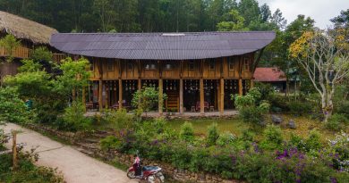 HGGA Architects: “Đơn giản hơn, bền vững hơn”