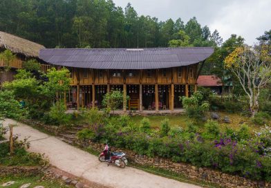 HGGA Architects: “Đơn giản hơn, bền vững hơn”