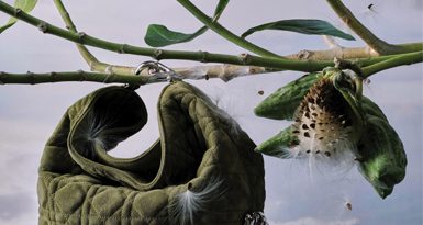 Wild at heart: Bản năng rực rỡ