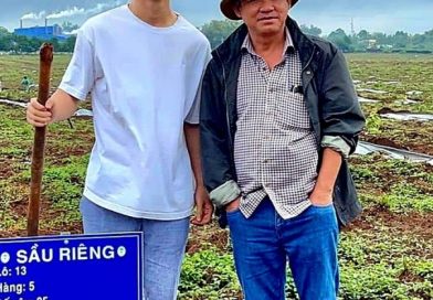 Cây sầu riêng Công Phượng trồng cùng bầu Đức năm 2021 giờ ra sao