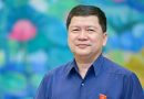‘Chuyển đổi cây hoa sữa không thể chỉ dựa vào cảm xúc’